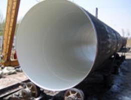 安徽ipn8710—2b無(wú)毒防腐涂料